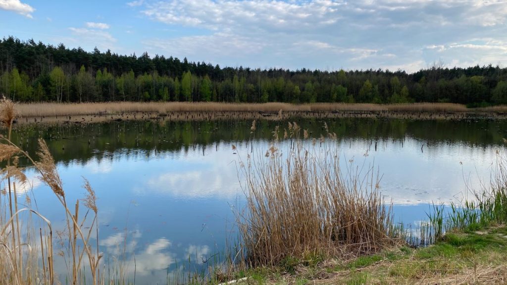 Zalew Łęg Jaworzno